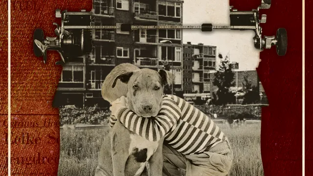 Alex Boogers - Alleen met de Goden