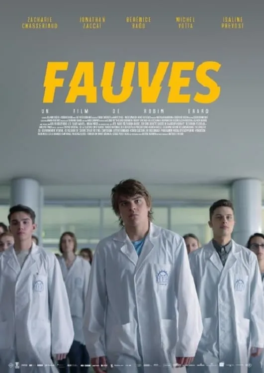 Fauves poster