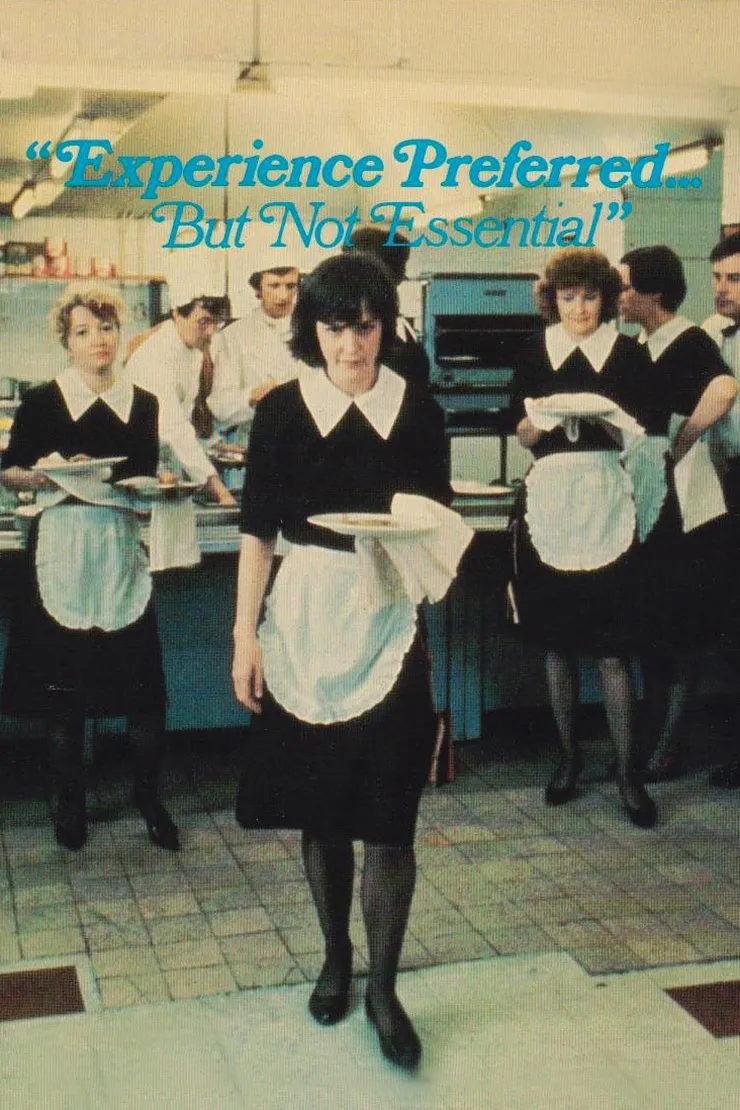 Experience Preferred...But Not Essential poster