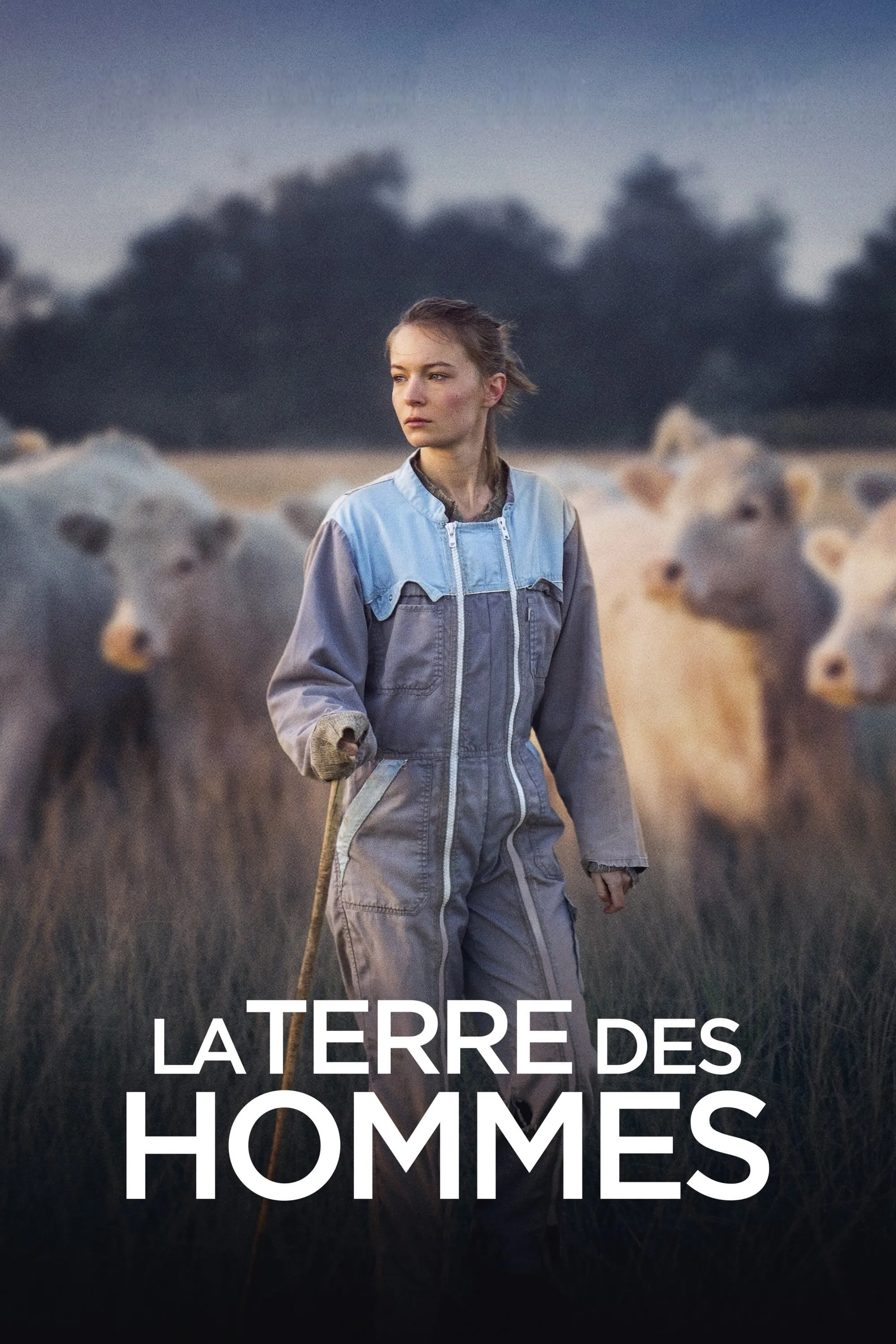 La terre des hommes poster