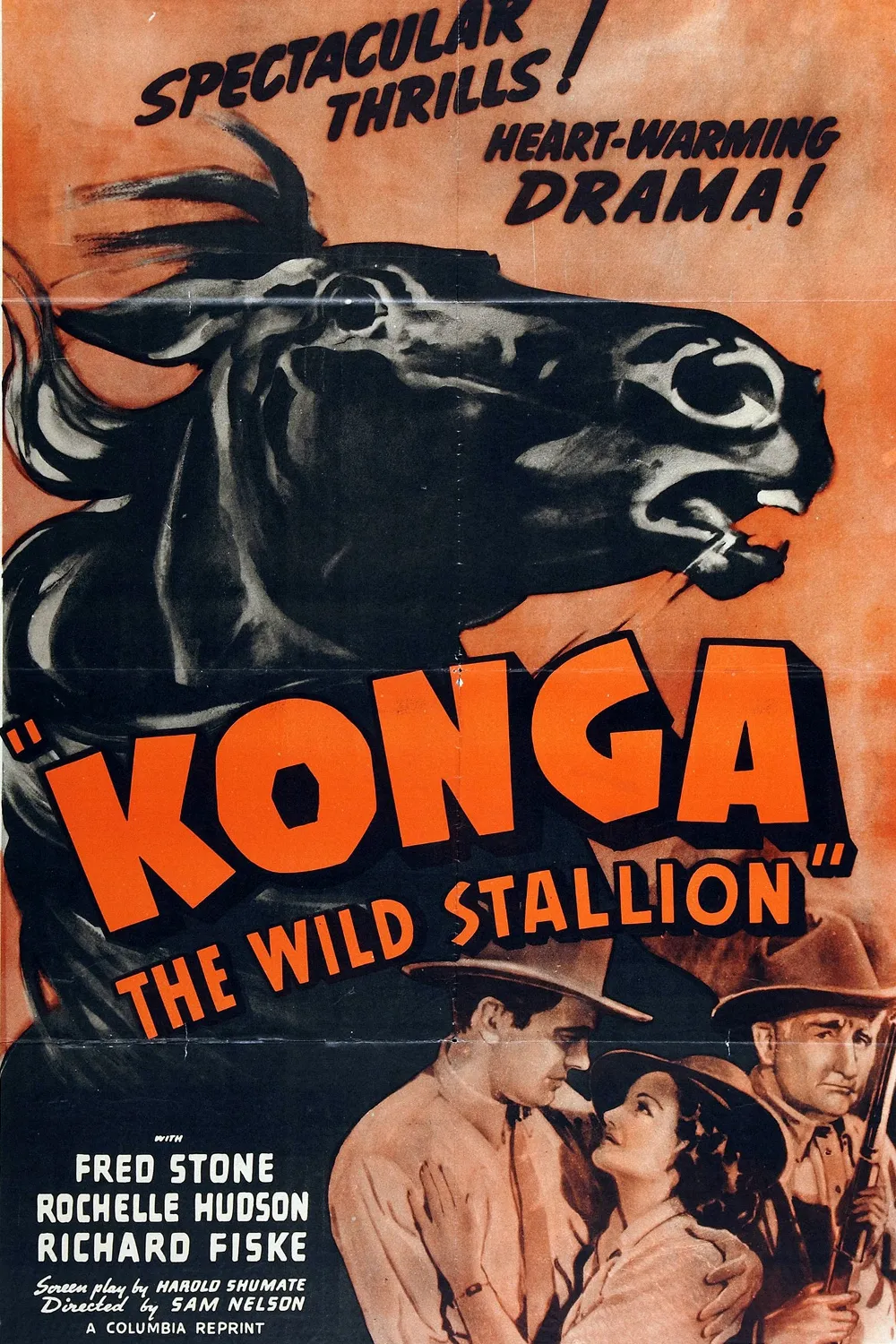 Konga, The Wild Stallion poster