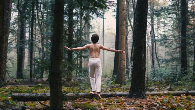 Swans reflecting Elephants