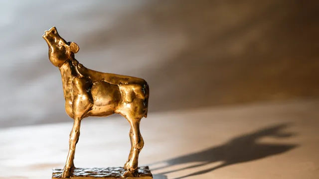 Gouden Kalf NFF 2016