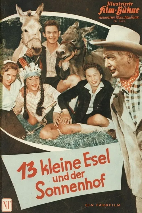 Dreizehn alte Esel poster