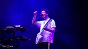 The Wombats