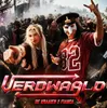 Artwork De Kraaien X Fianca - Verdwaald