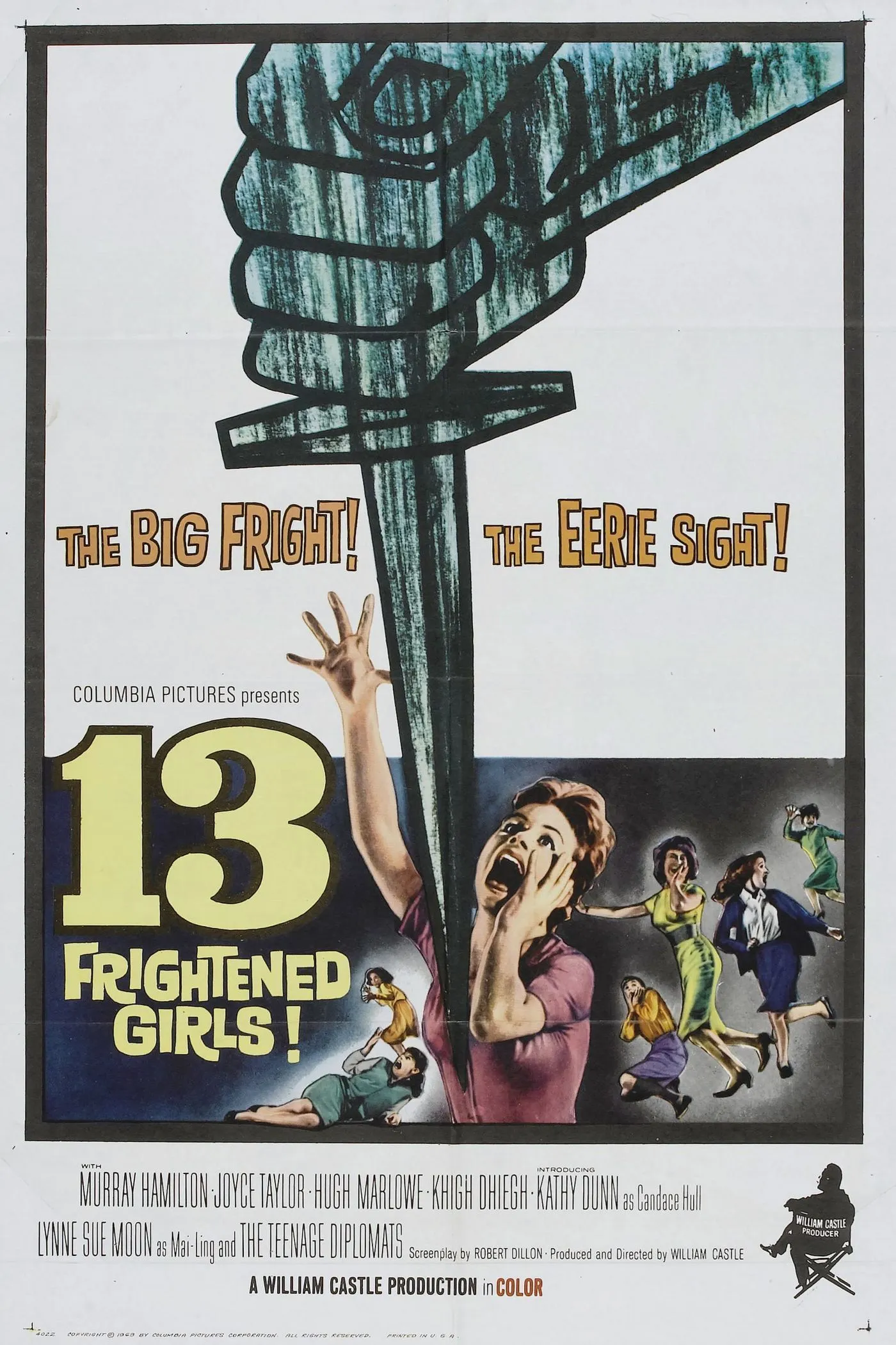 13 Frightened Girls poster