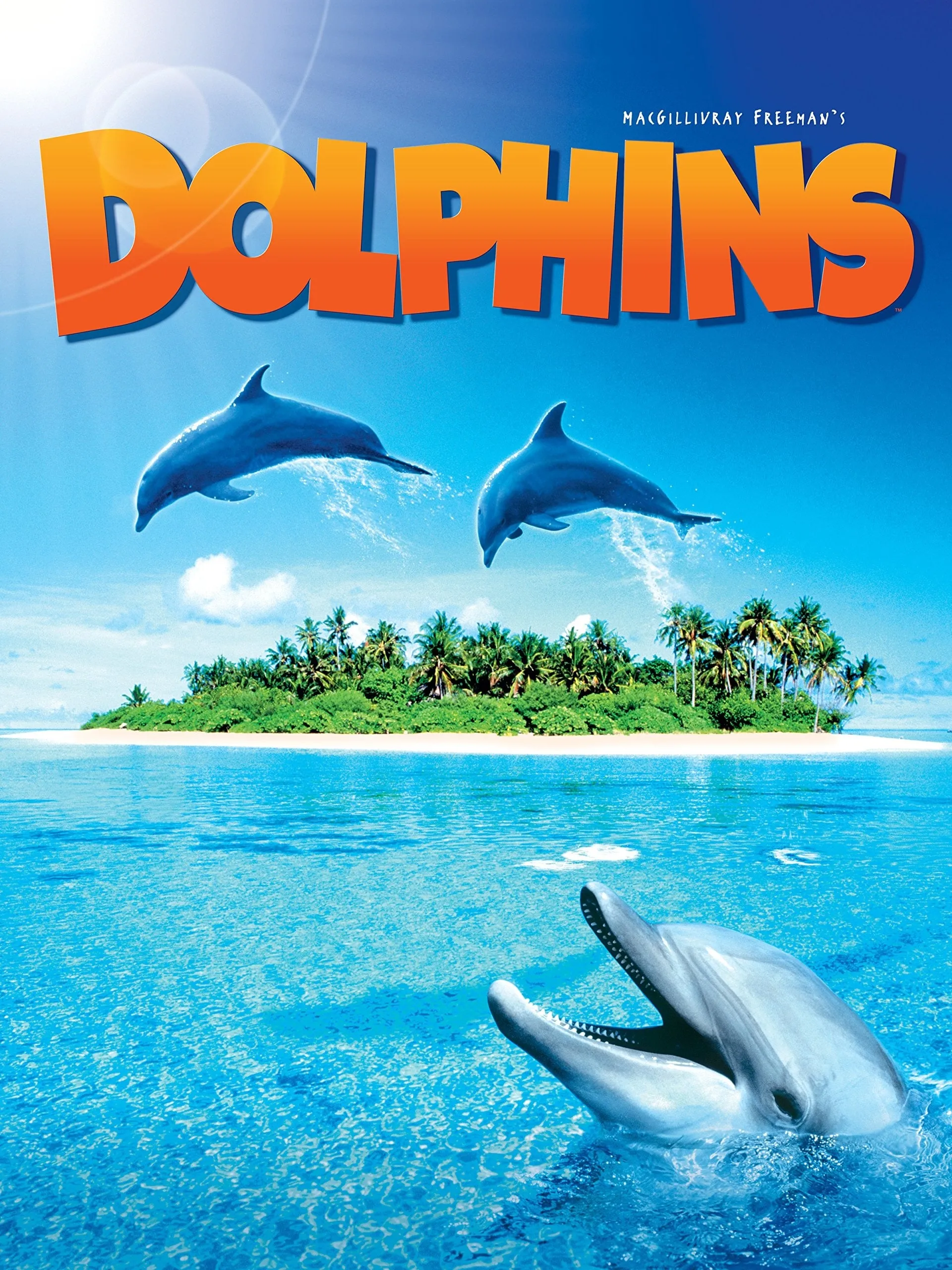 Dolphins poster