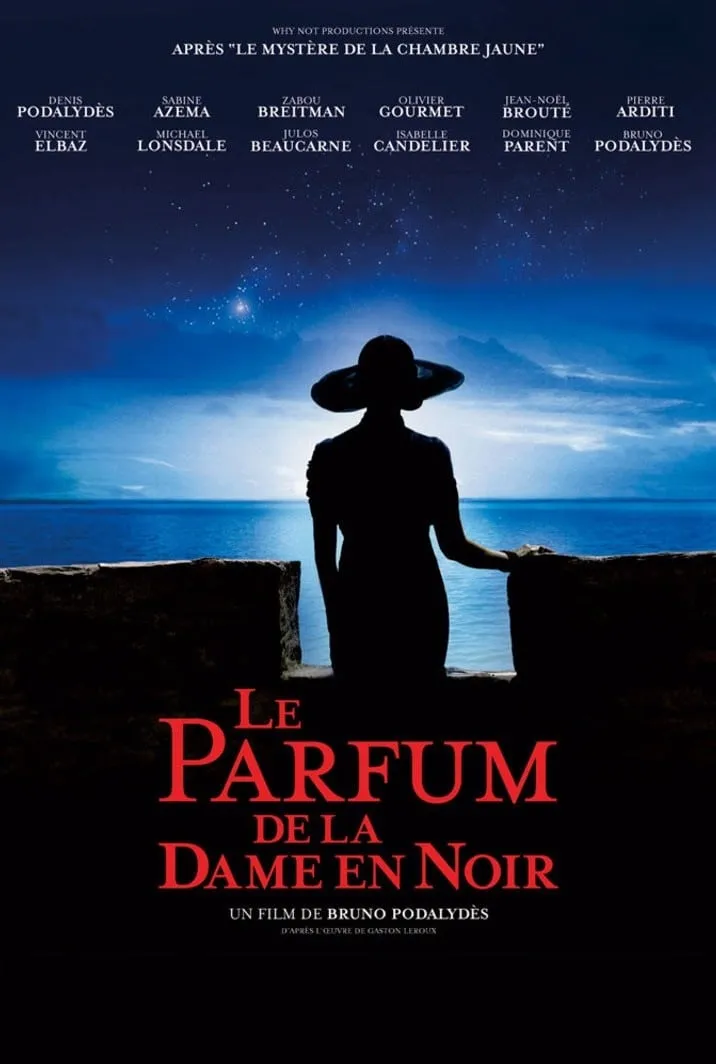 Le parfum de la dame en noir poster