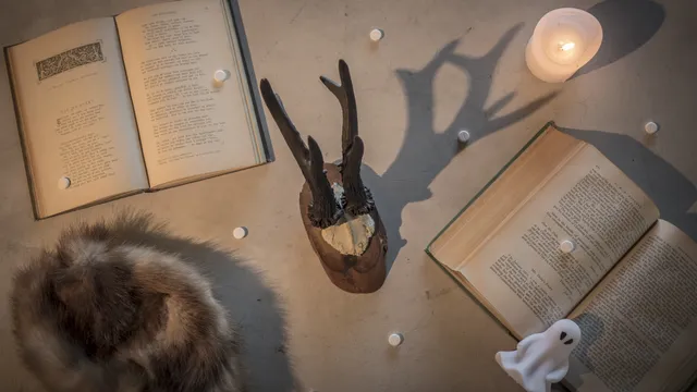 Silleven foto voor bij Edward Mordrake van Pascal van Hulst