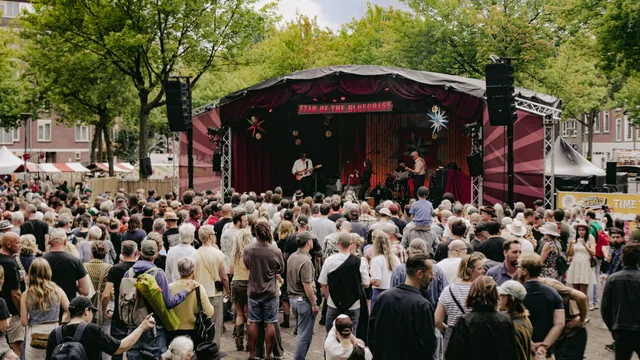Bluegrass Festival