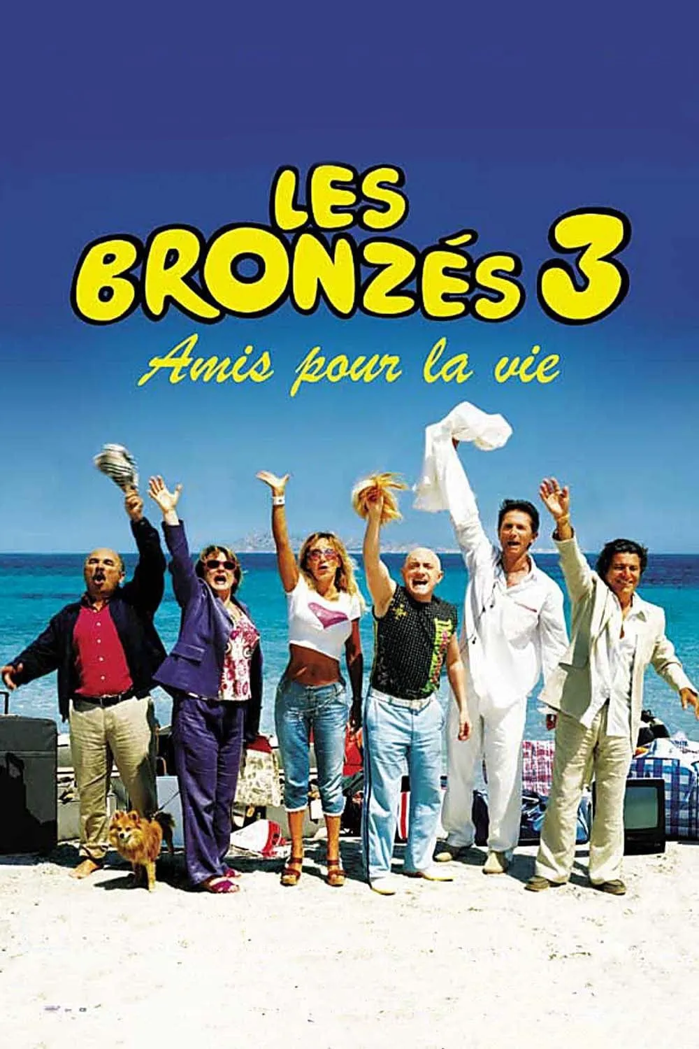 Les bronzés 3: Amis pour la vie poster
