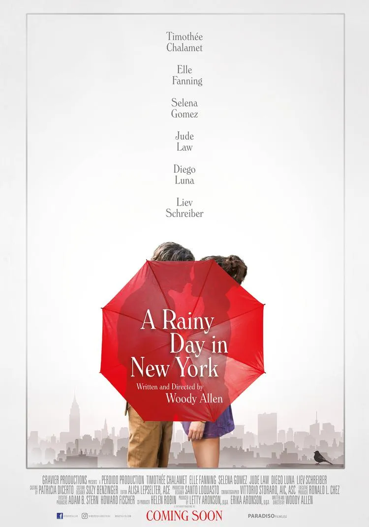 A Rainy Day In New York poster