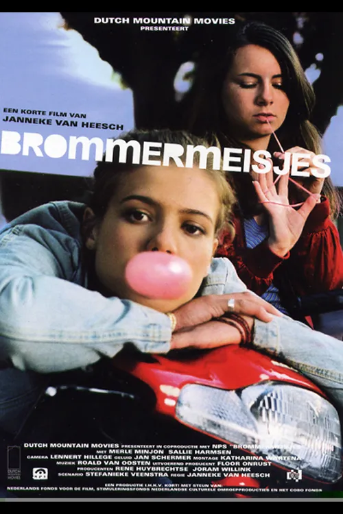 Brommermeisjes poster