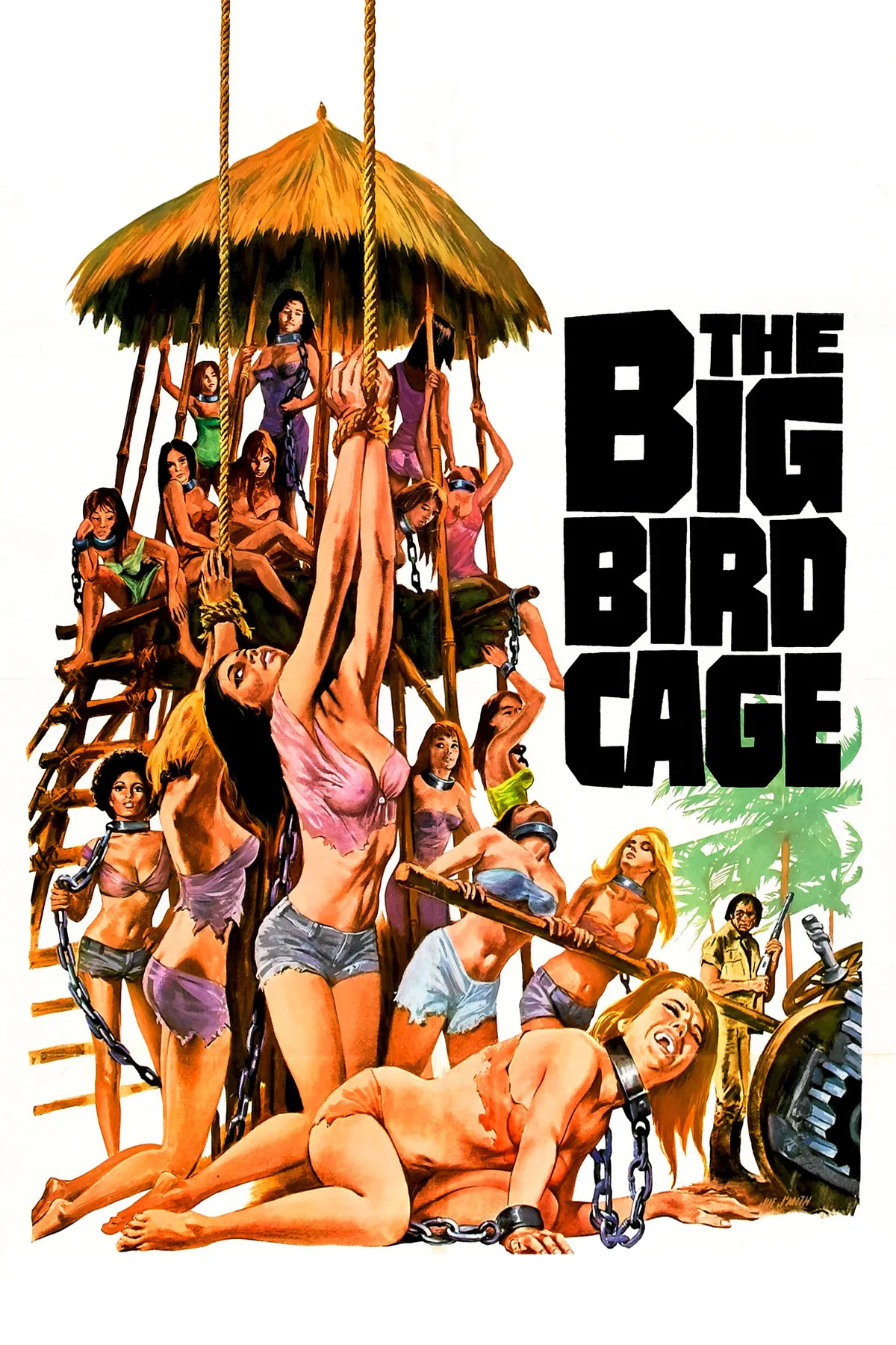 The Big Bird Cage poster