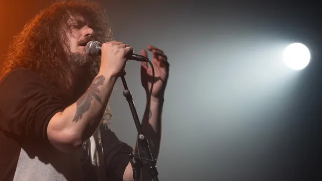 The New Hip in Merleyn