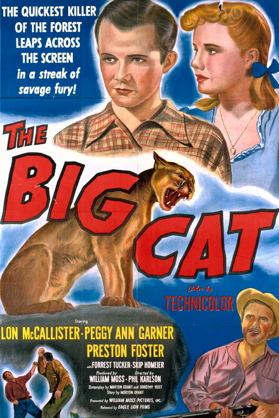 The Big Cat poster