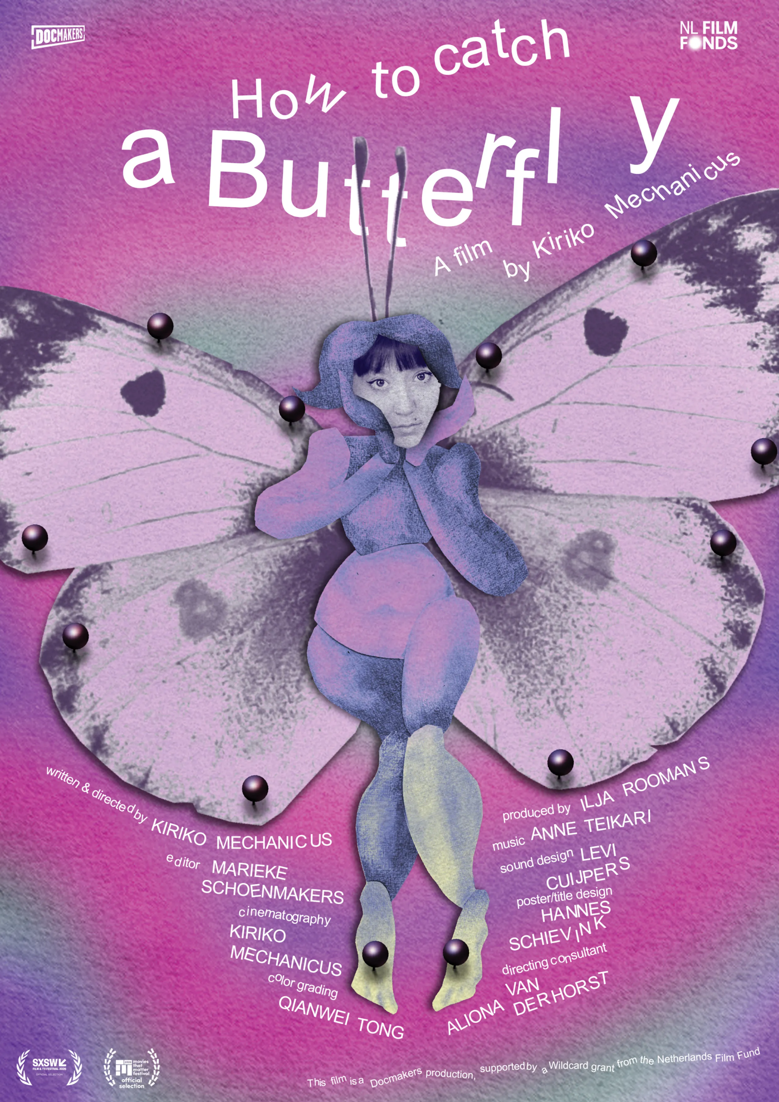 How to catch a Butterfly poster