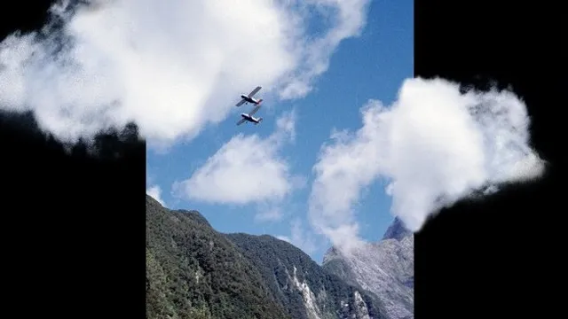 Artwork Cardigan Inn Cover Cautionary Signs