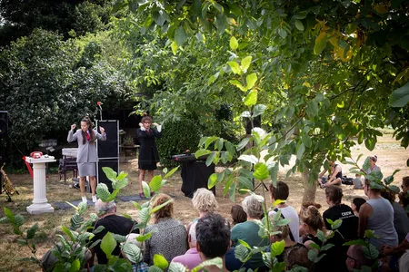 Tappin It Collective