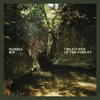 Artwork Marble Boy Cover Creatures of the forest_3000x3000