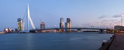 De Erasmusbrug is naast de Willemsbrug de tweede brug over de Nieuwe Maas in het centrum van Rotterdam in de Haven van Rotterdam en is vernoemd naar de Nederlandse priester en humanist Erasmus. De brug verbindt de wijk Kop van Zuid met het centrum aan de noordzijde van de rivier.