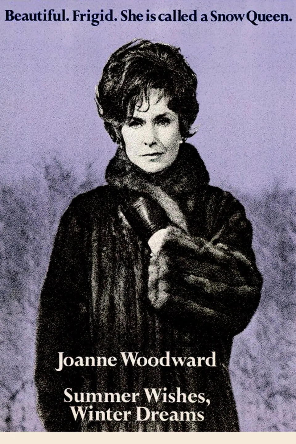 Winter Dreams Summer Wishes poster