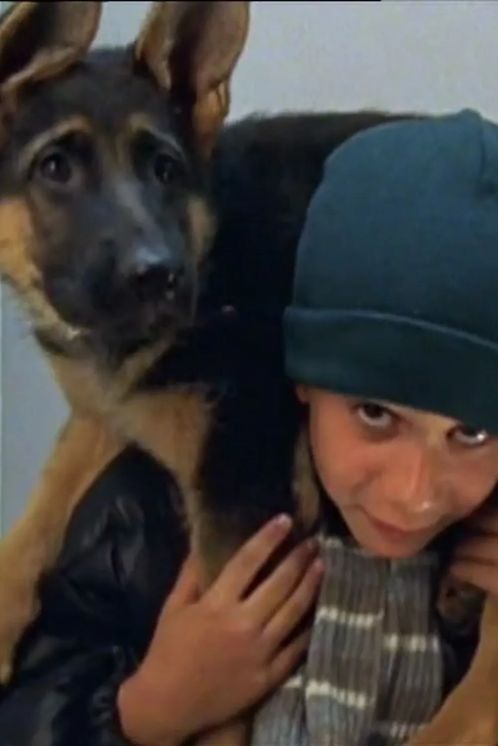 Baby Rex - Der kleine Kommissar poster