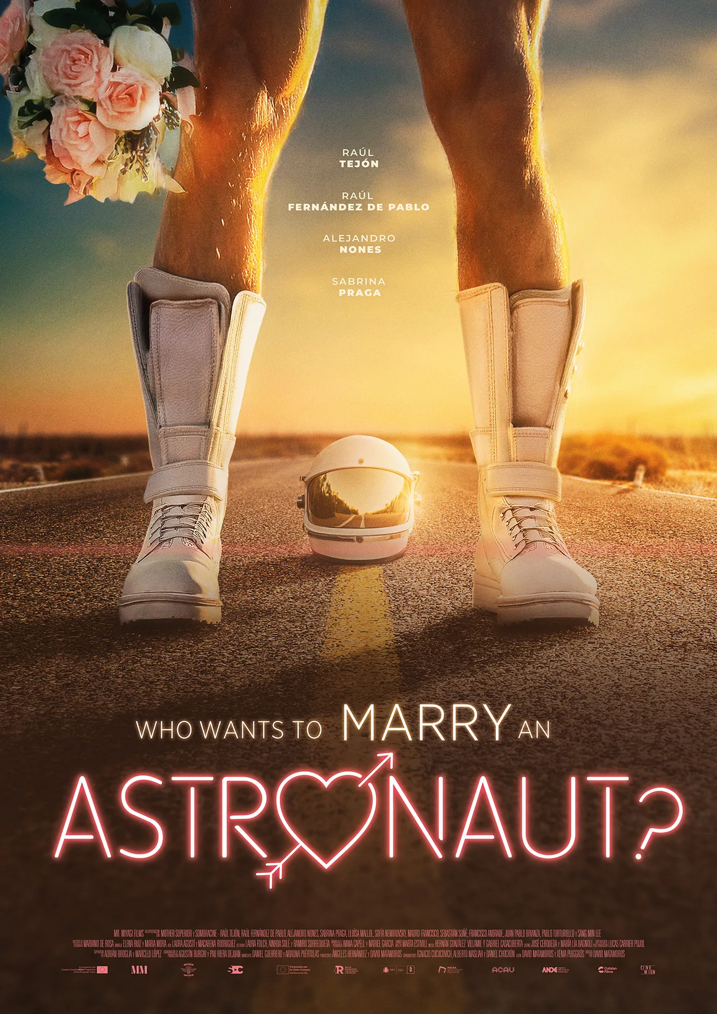 Who Wants To Marry An Astronaut? poster