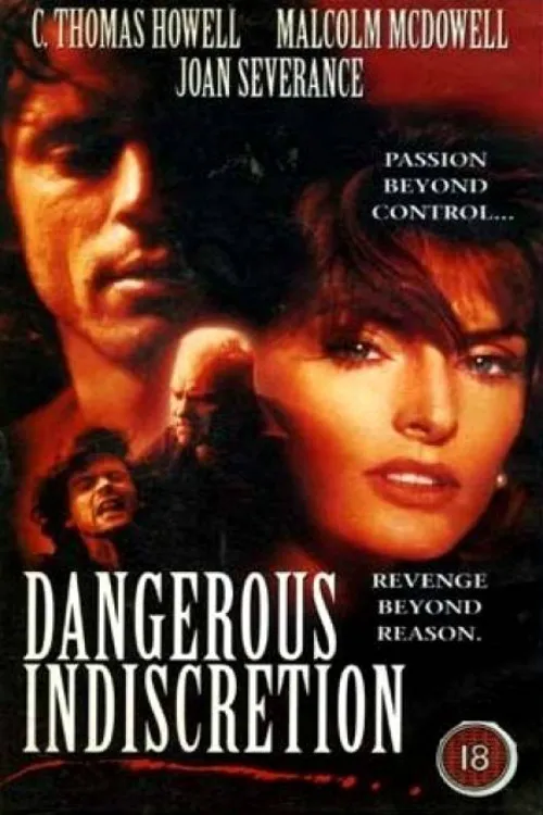 Dangerous Indiscretion poster