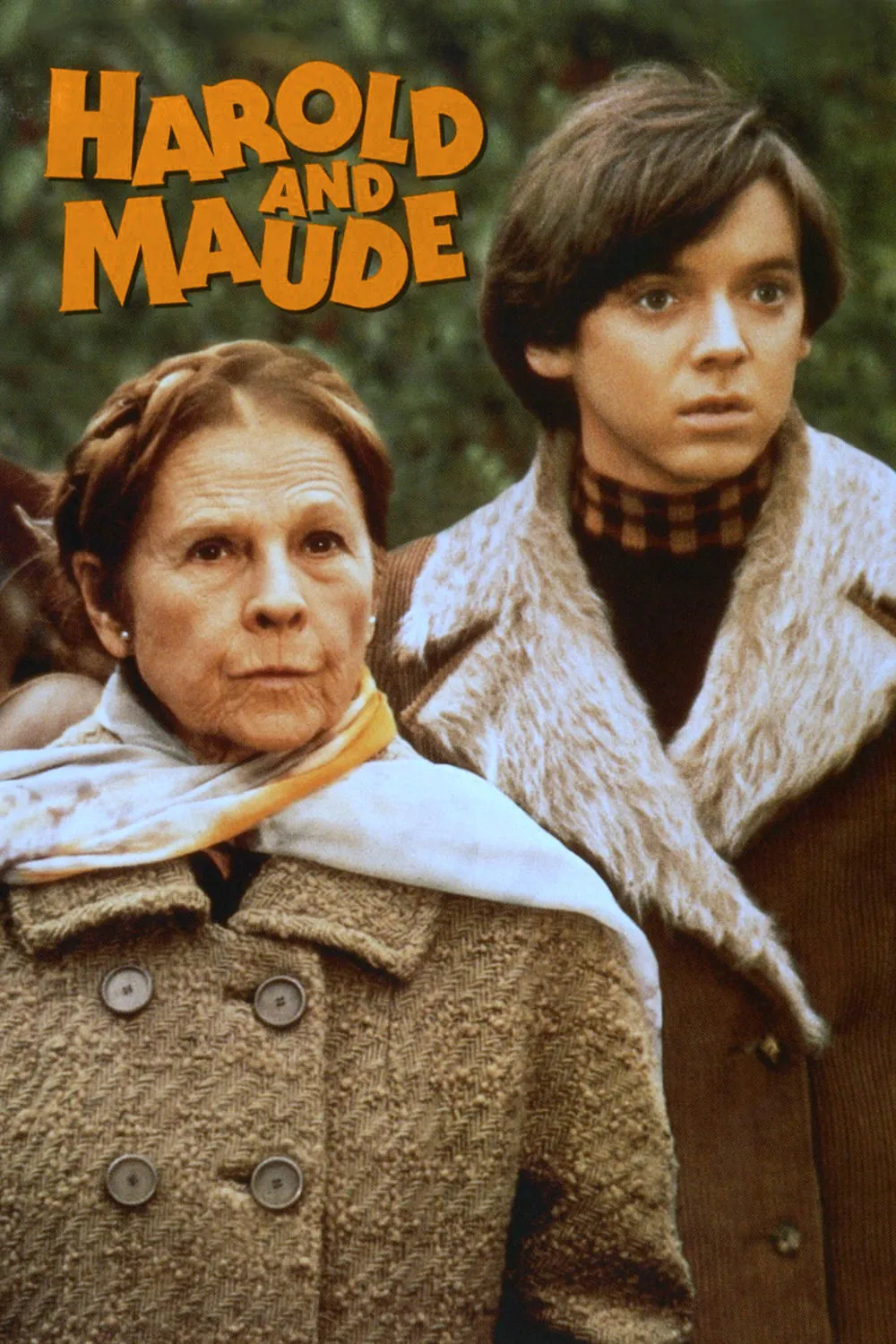 Harold and Maude poster