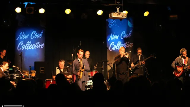 New Cool Collective