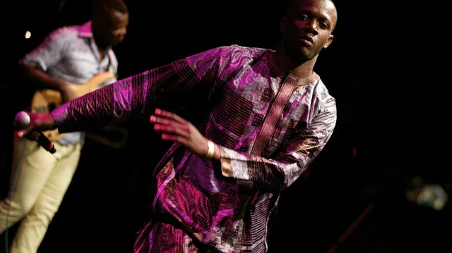 Debademba op Hertme 2014