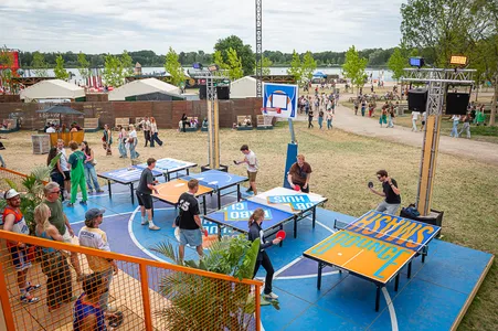 Down The Rabbit Hole