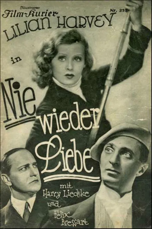 Nie wieder Liebe poster
