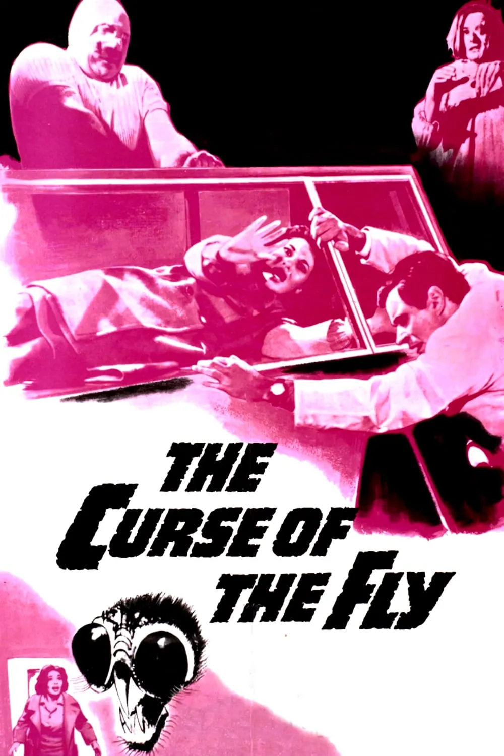 The Curse of the Fly poster