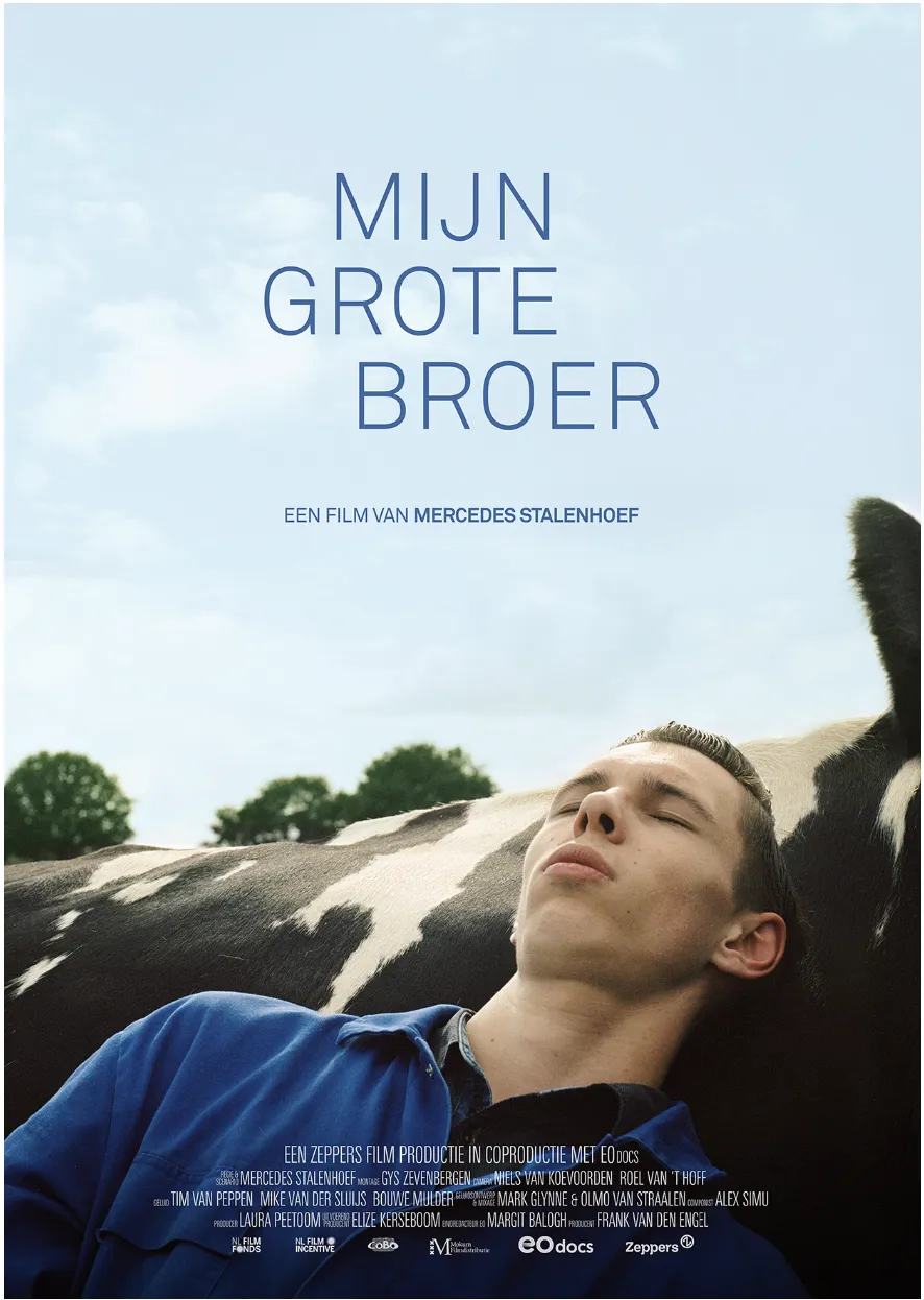 Mijn grote broer poster