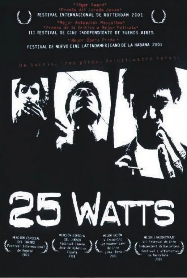 25 Watts poster