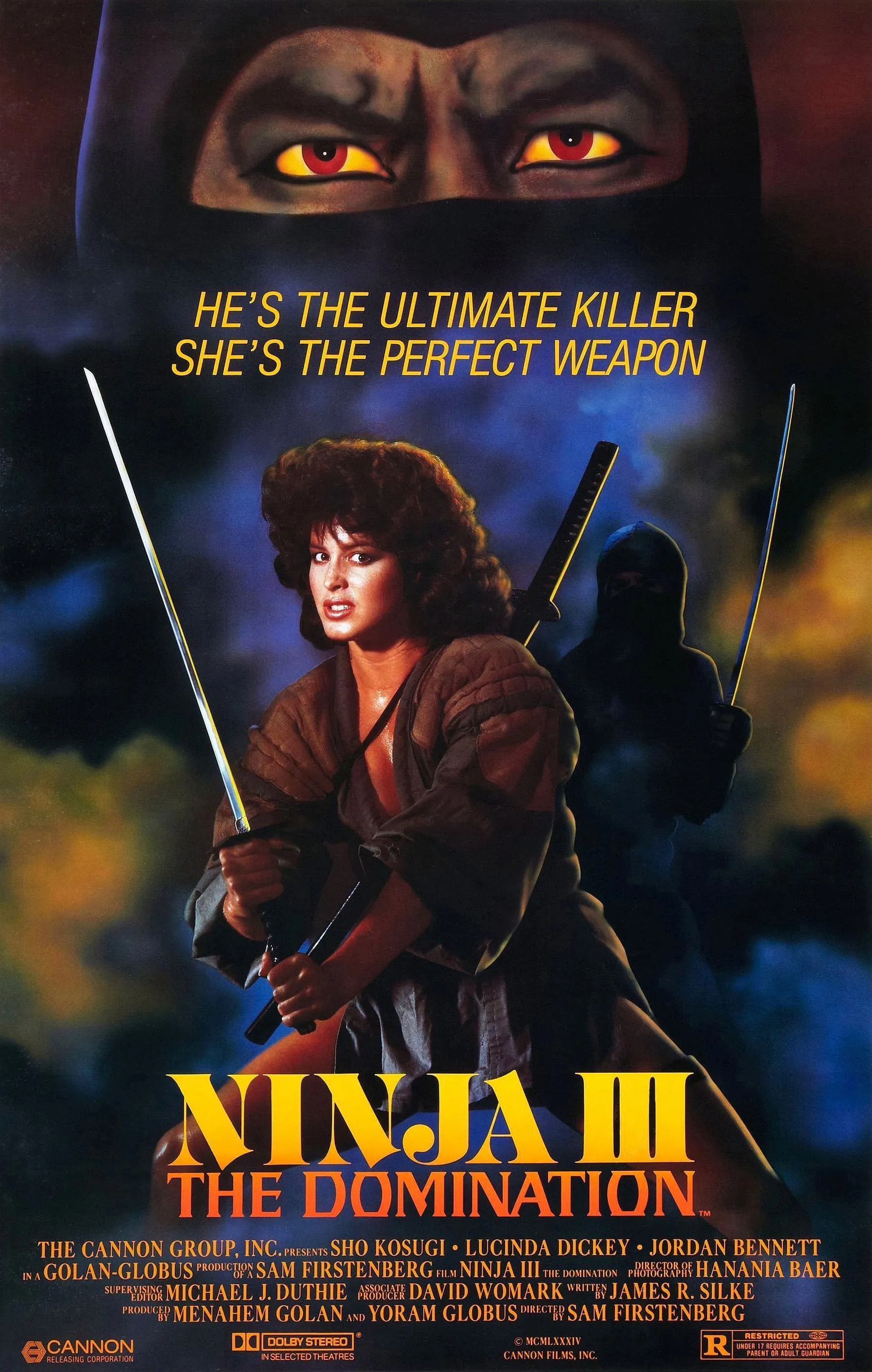 Ninja 3: The Domination poster