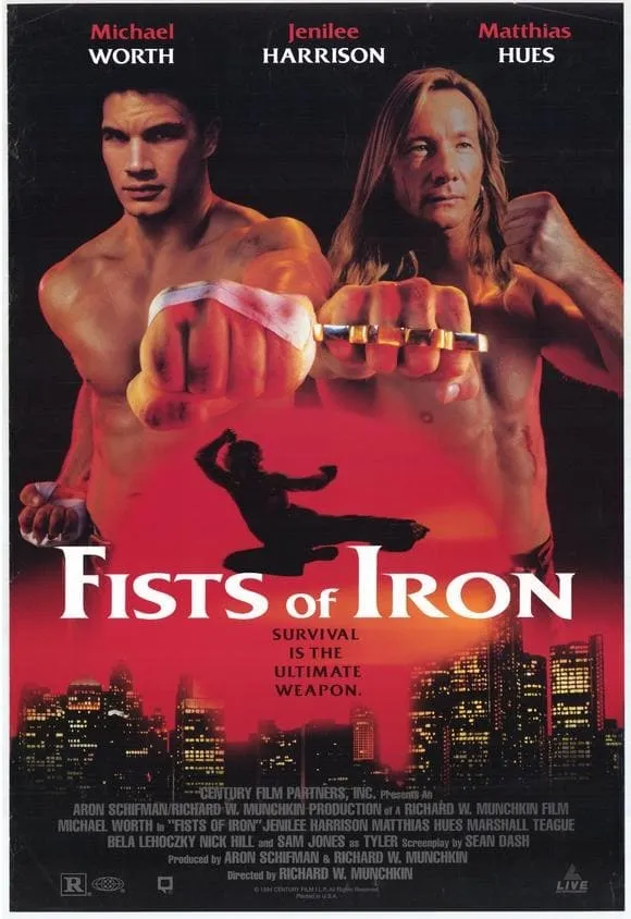 Iron fist poster