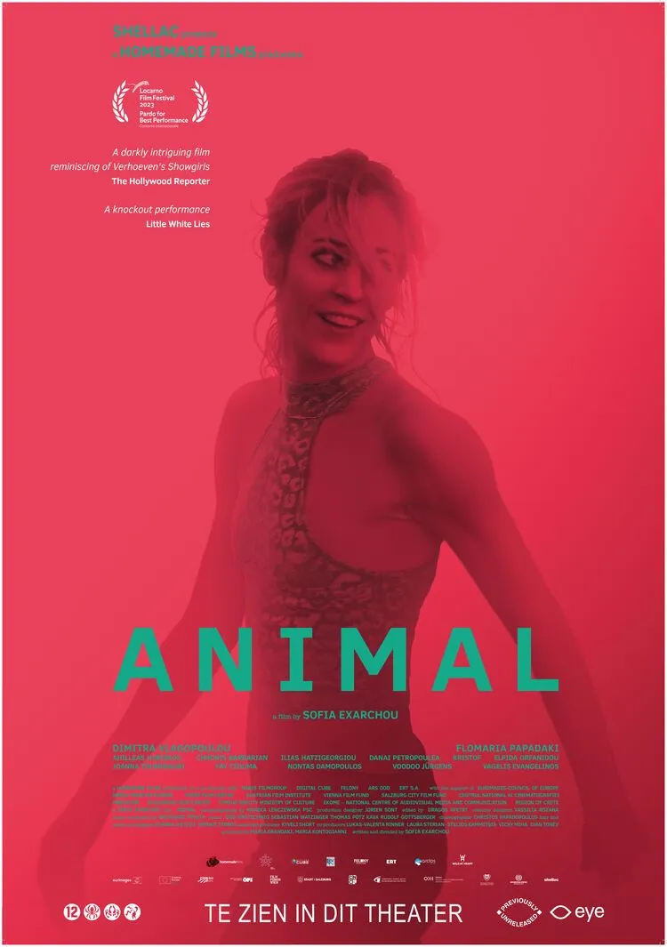Animal poster