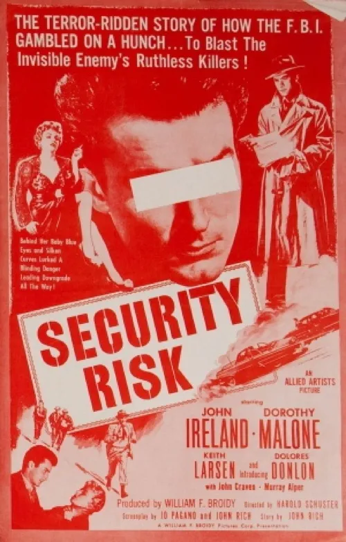 Security Risk poster