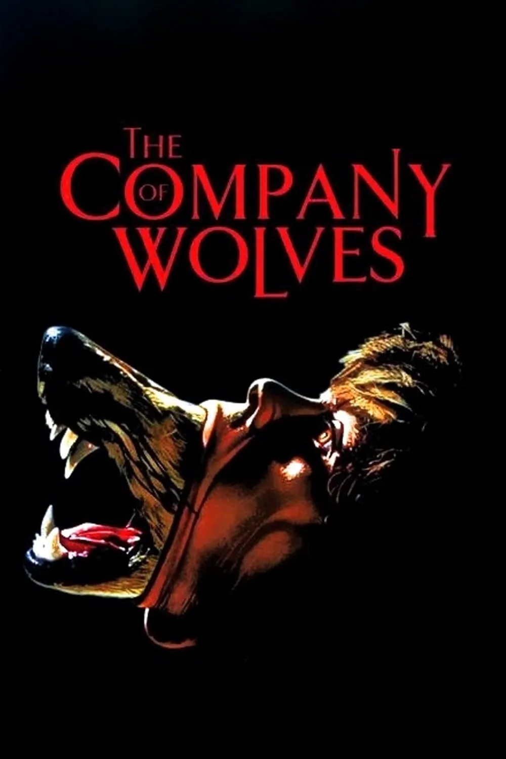 The Company of Wolves poster