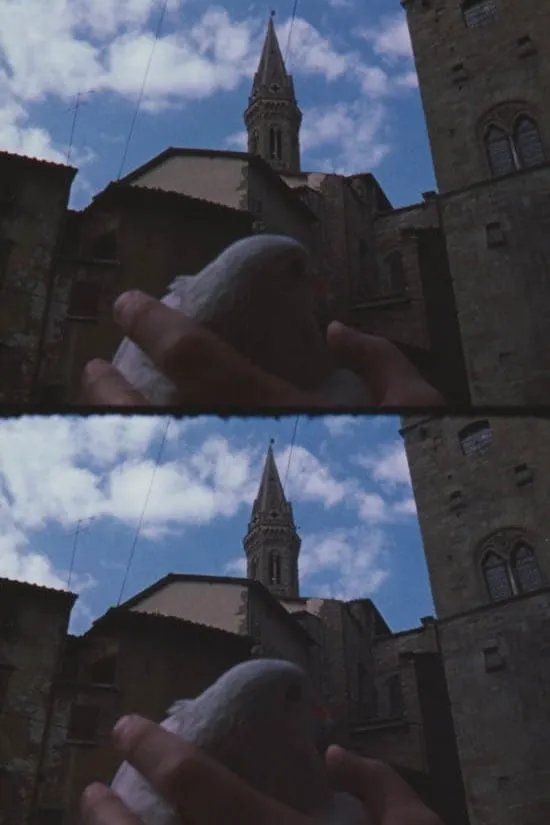 From the Notebook of... poster