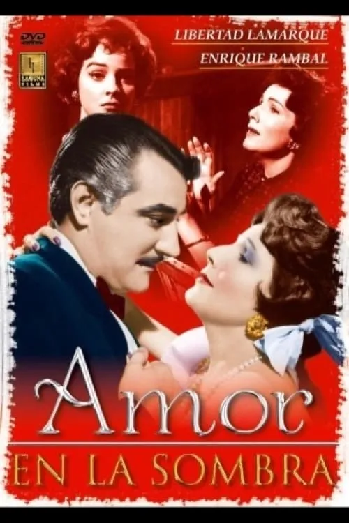 Amor en la sombra poster