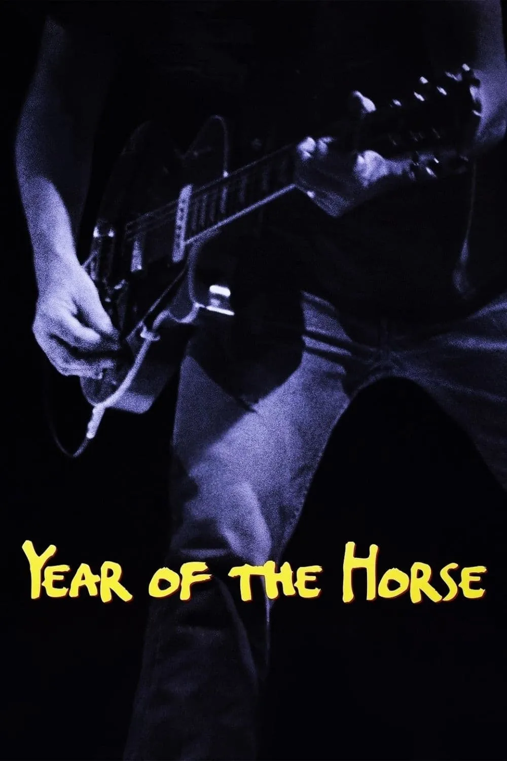 Year Of The Horse poster