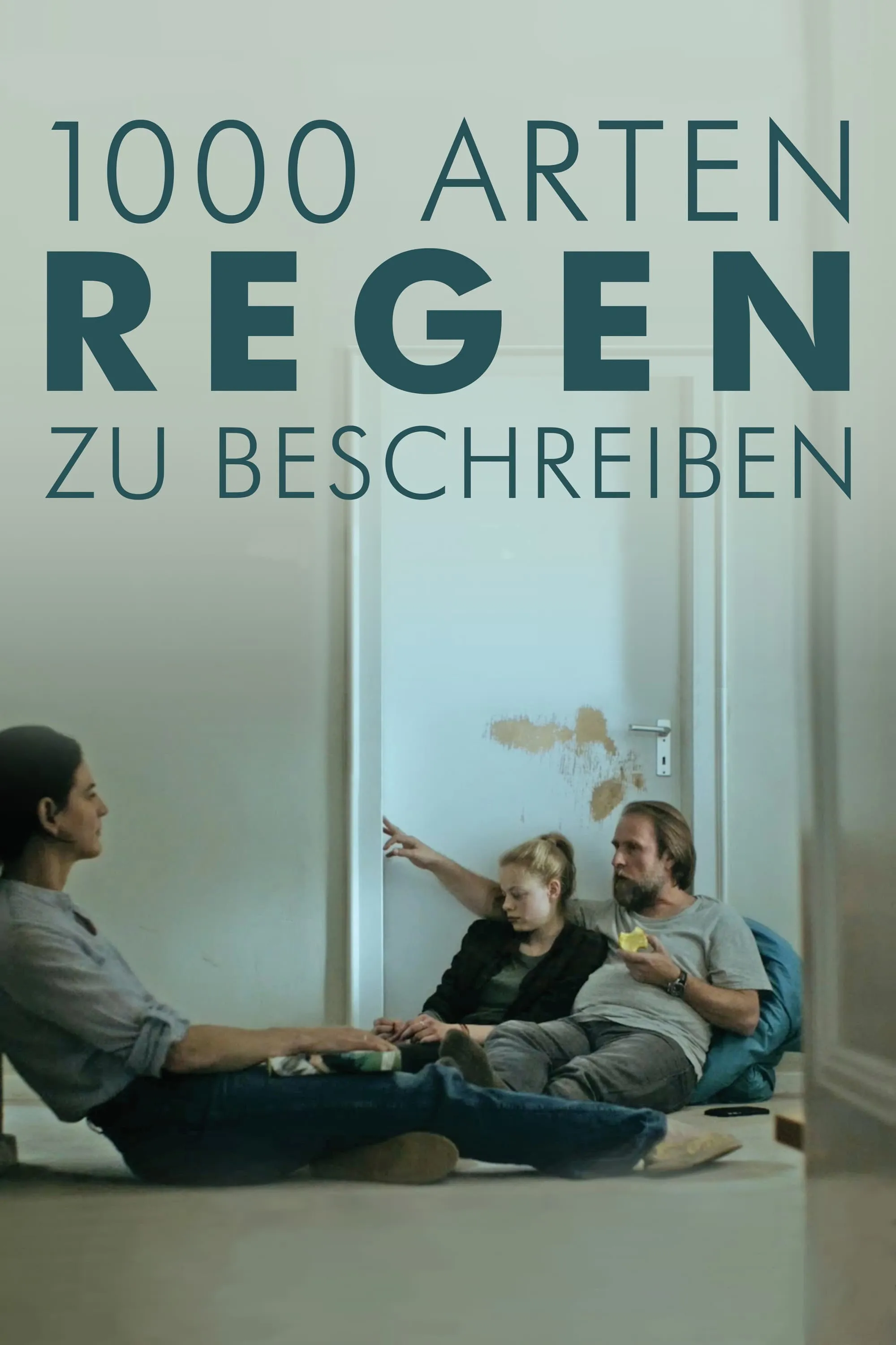 1000 Arten, Regen zu beschreiben poster