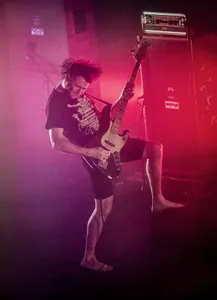 Pigs Pigs Pigs Pigs Pigs Pigs Pigs