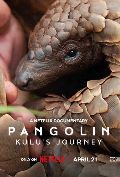 Pangolin: Kulu’s Journey poster