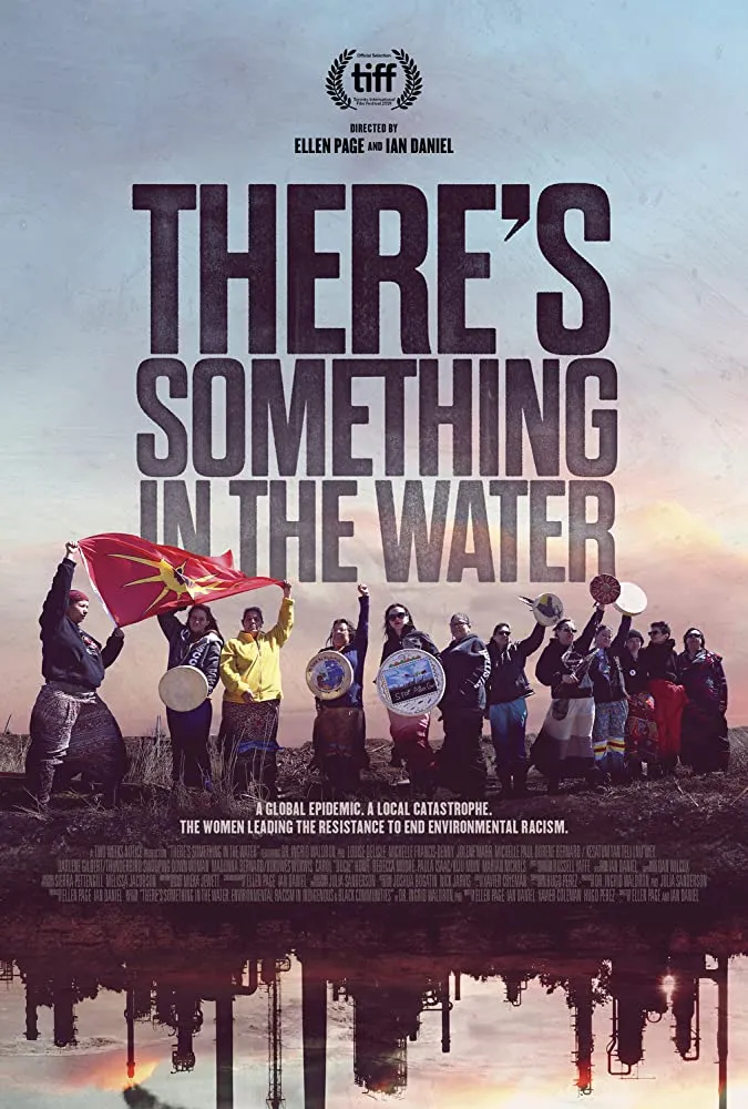 There's Something in the Water poster